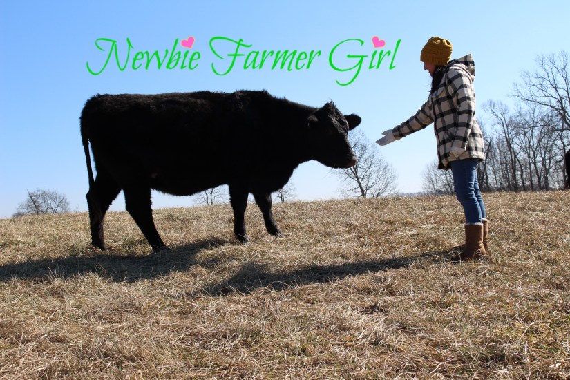 Newbiefarmergirl profile picture
