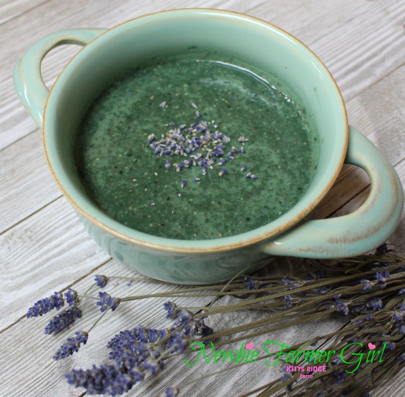 Chia Seed Pudding