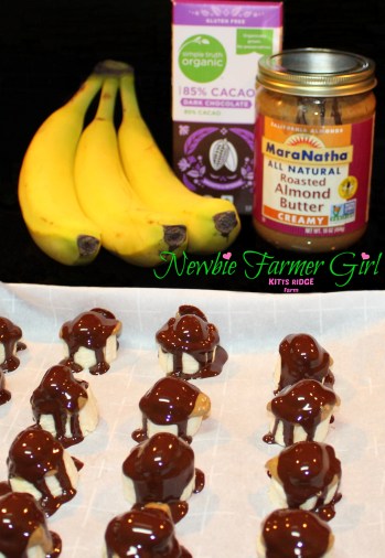 Choc. Covered Banana1