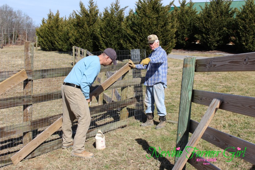 Kevin and David working on coop