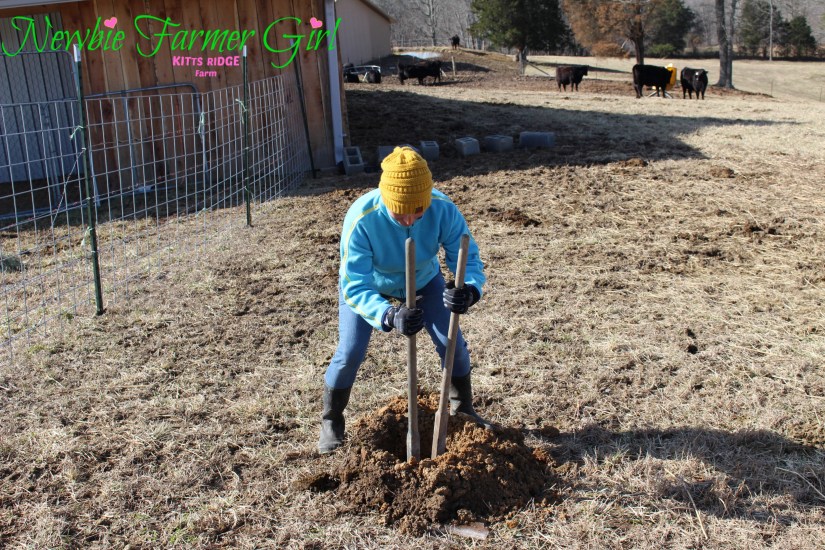 Kimberly using a hole digger
