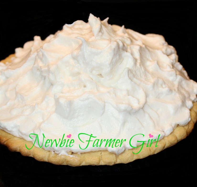 meringue on pie before cooked