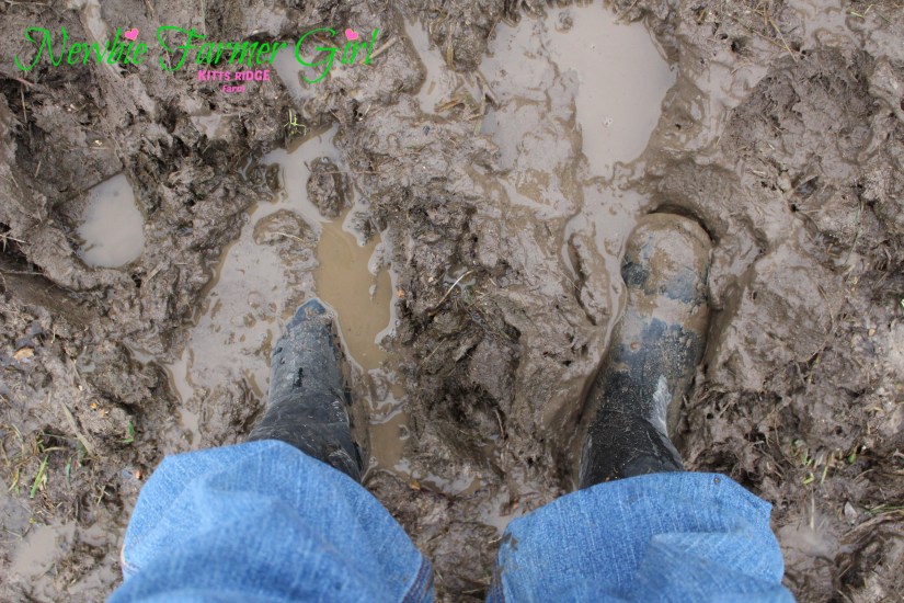 Boots in the mud.jpg