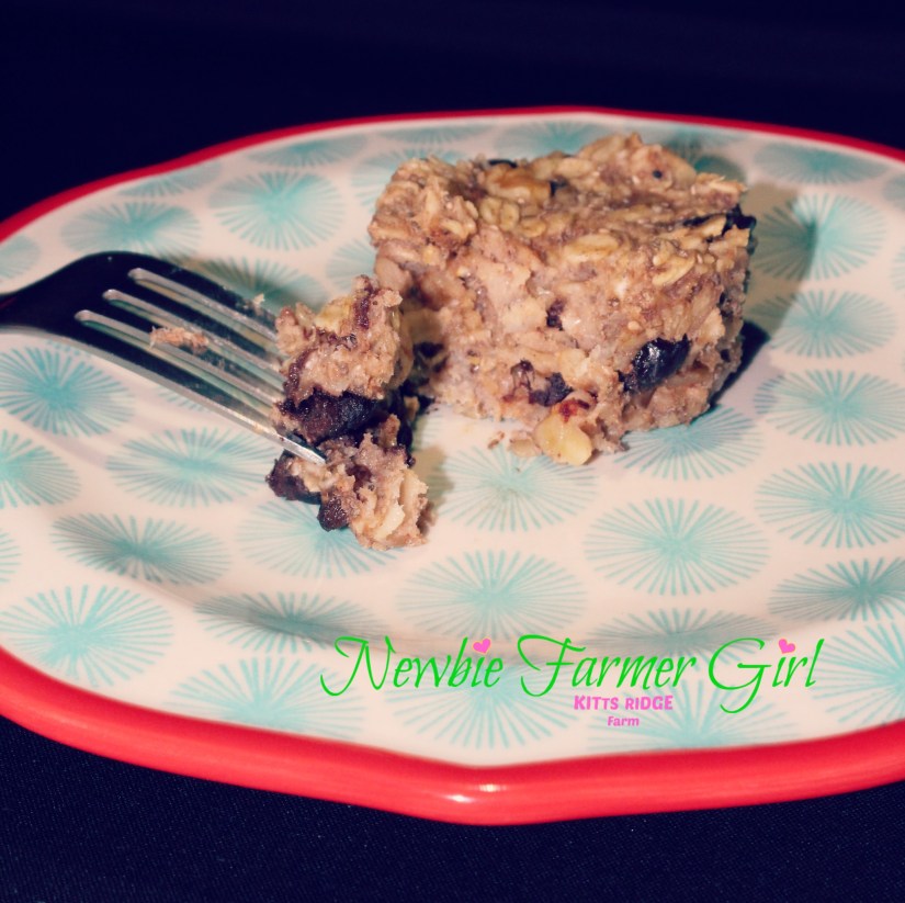 Chia Oatmeal Muffin.jpg