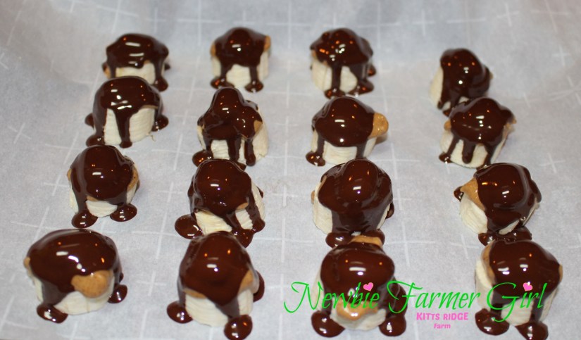 chocolate covered bananas without nuts
