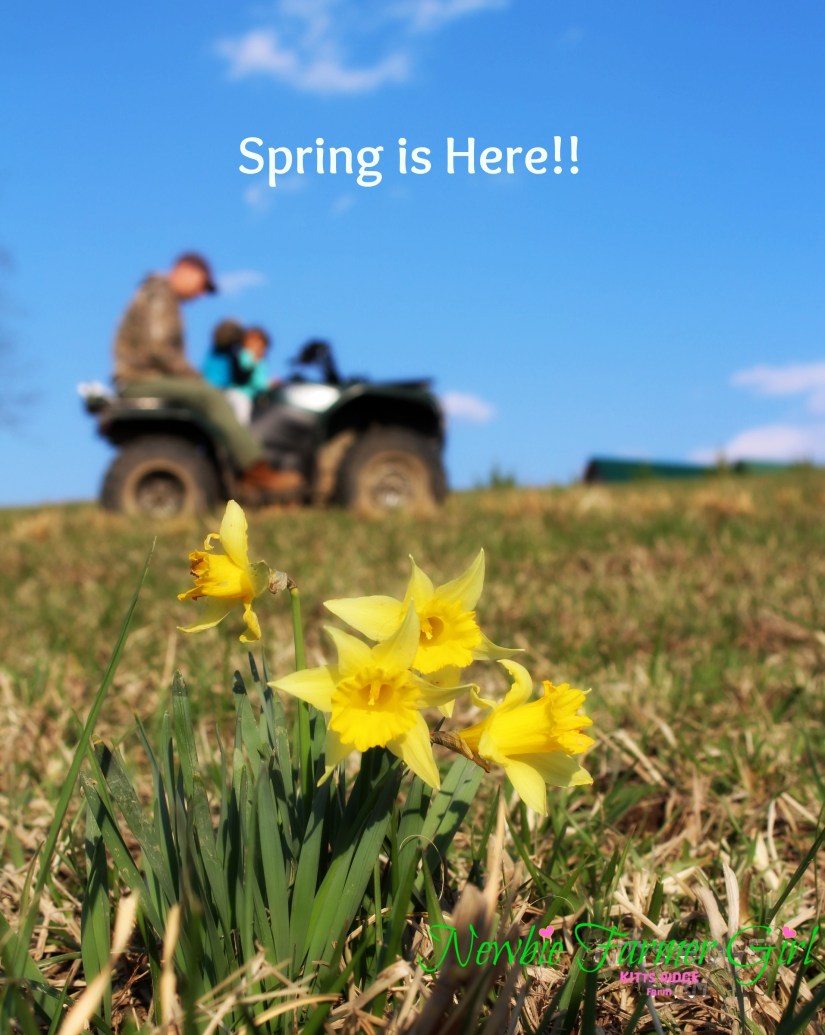 Kevin, Kensi & Kye on 4wheeler.jpg