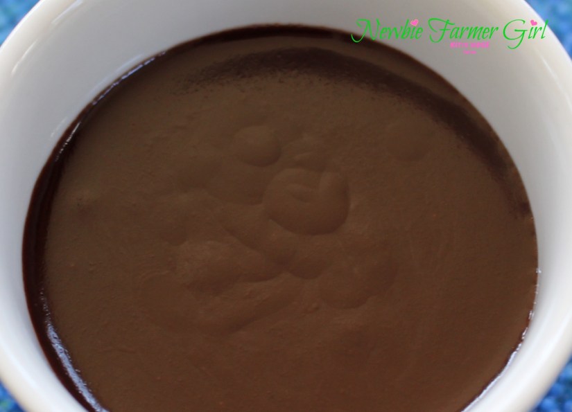 SImple Chocolate Sauce