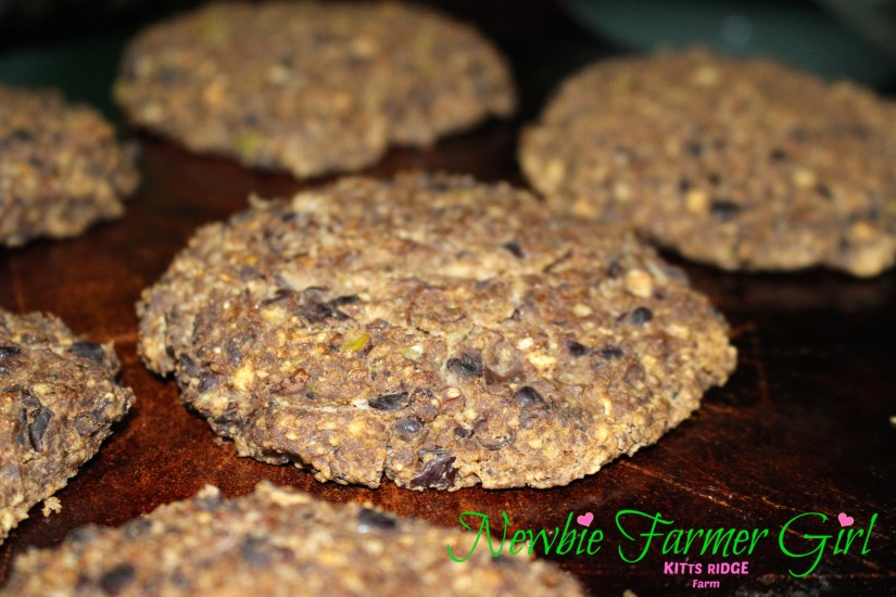 Black Bean Burger.jpg