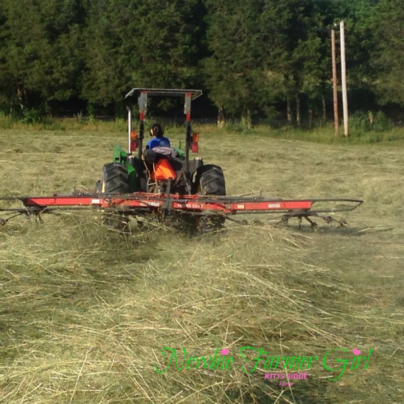 Kimberly on Tractor 3