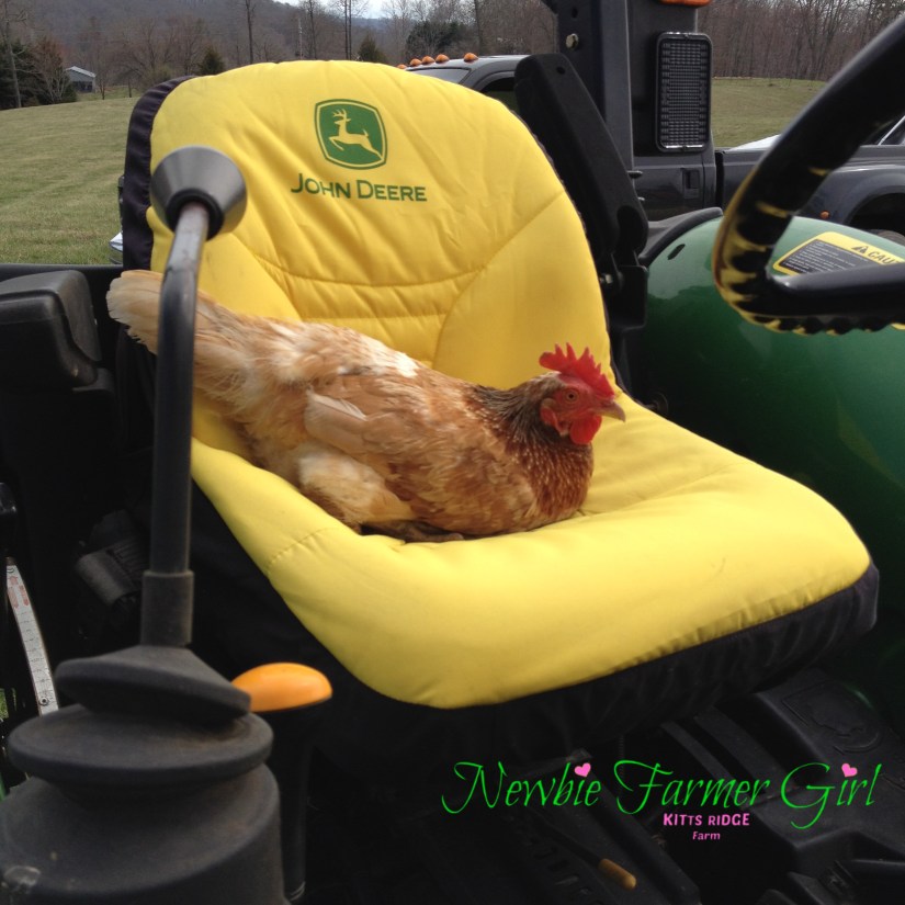 CB85794F-6D4A-4113-937A-1AF0095A7FAB