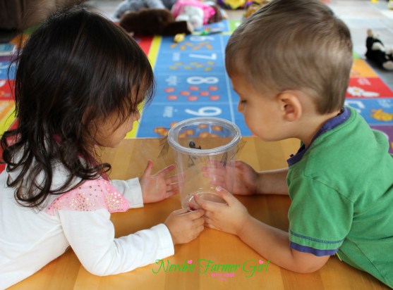 kids watching butterfly hatch