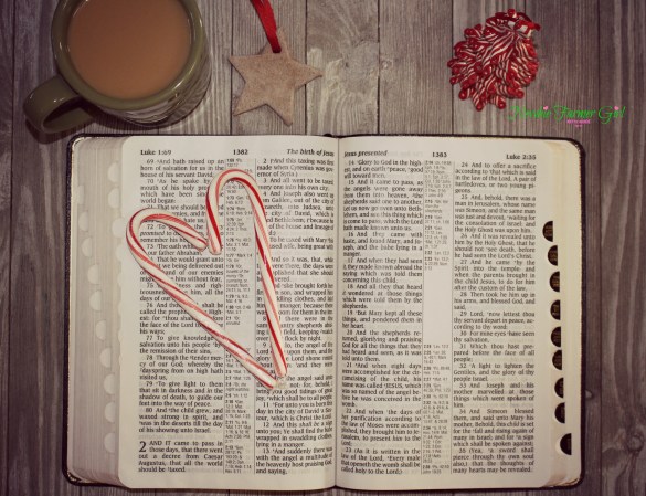 Bible Christmas Story