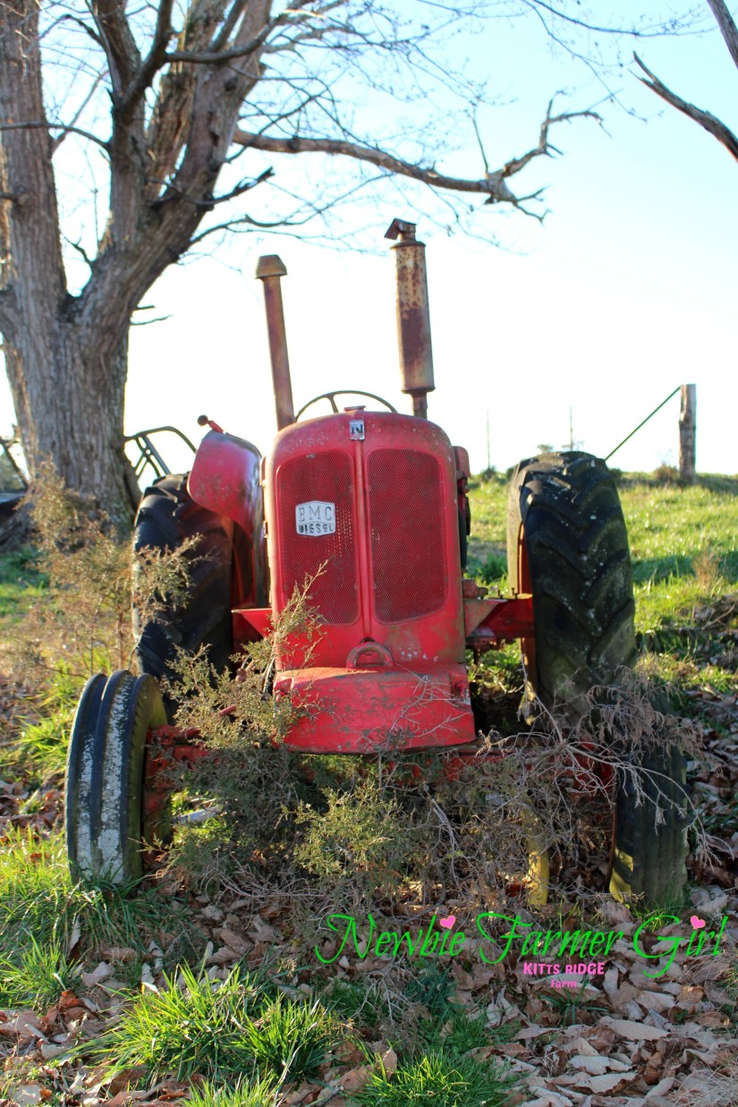 front of run down tractor